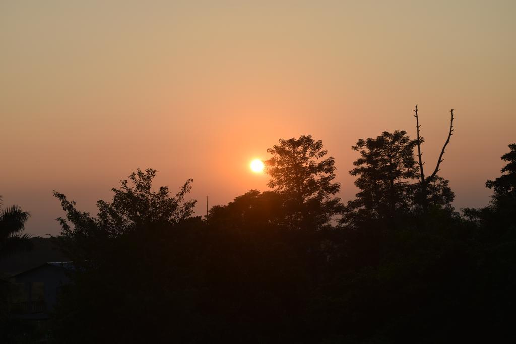 Chitwan Village Resort Sauraha Exteriör bild